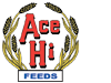 Ace Hi Logo